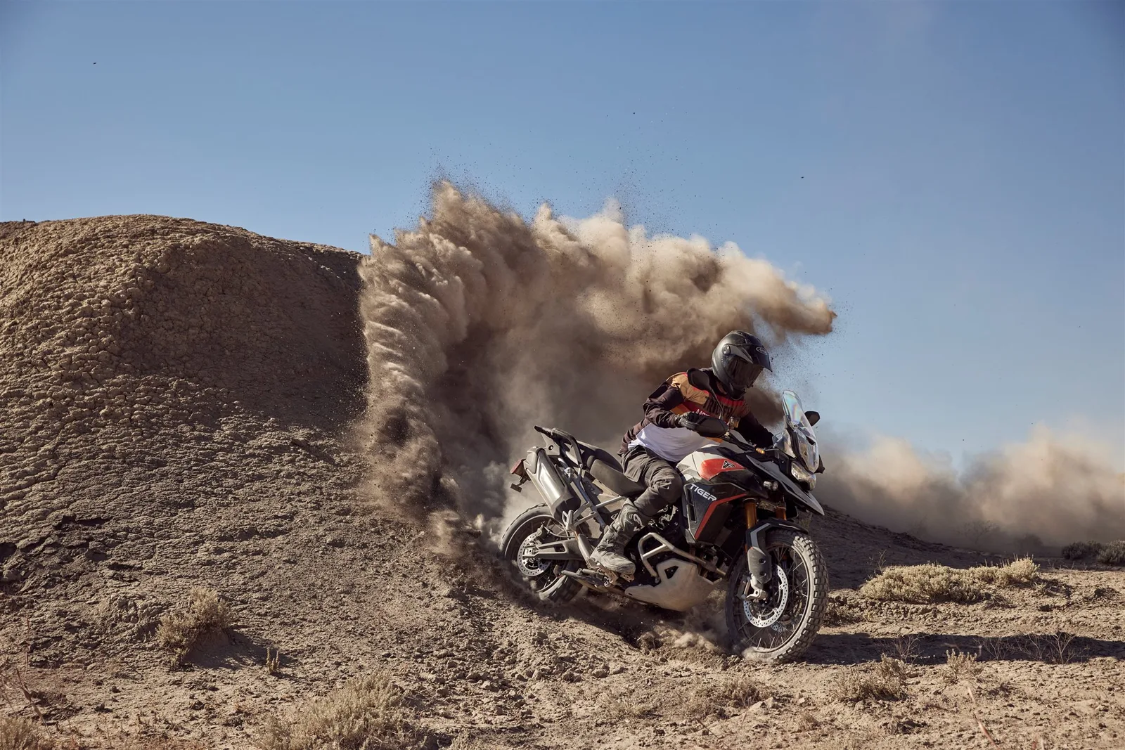 Triumph Tiger 900 Rally Pro