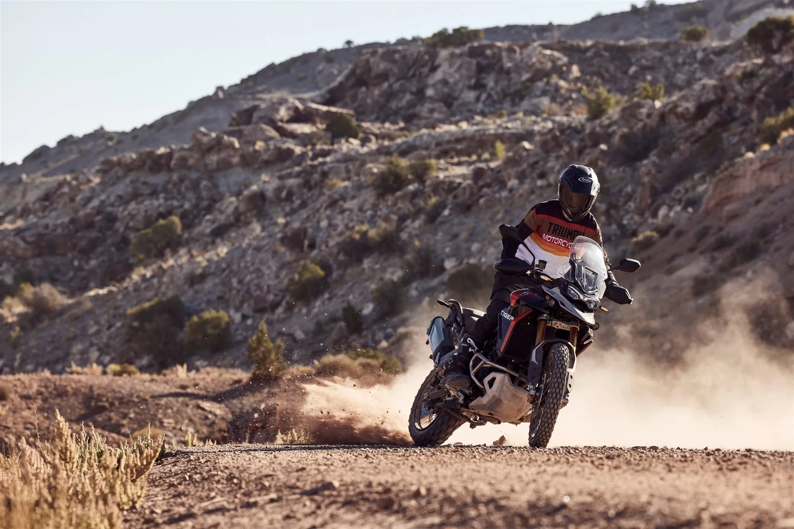 Triumph Tiger 900 Rally Pro