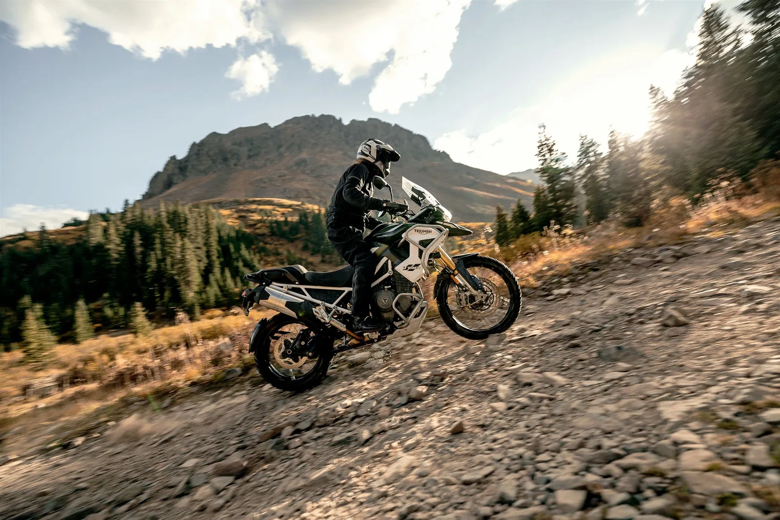 Triumph Tiger 1200 Rally PRO