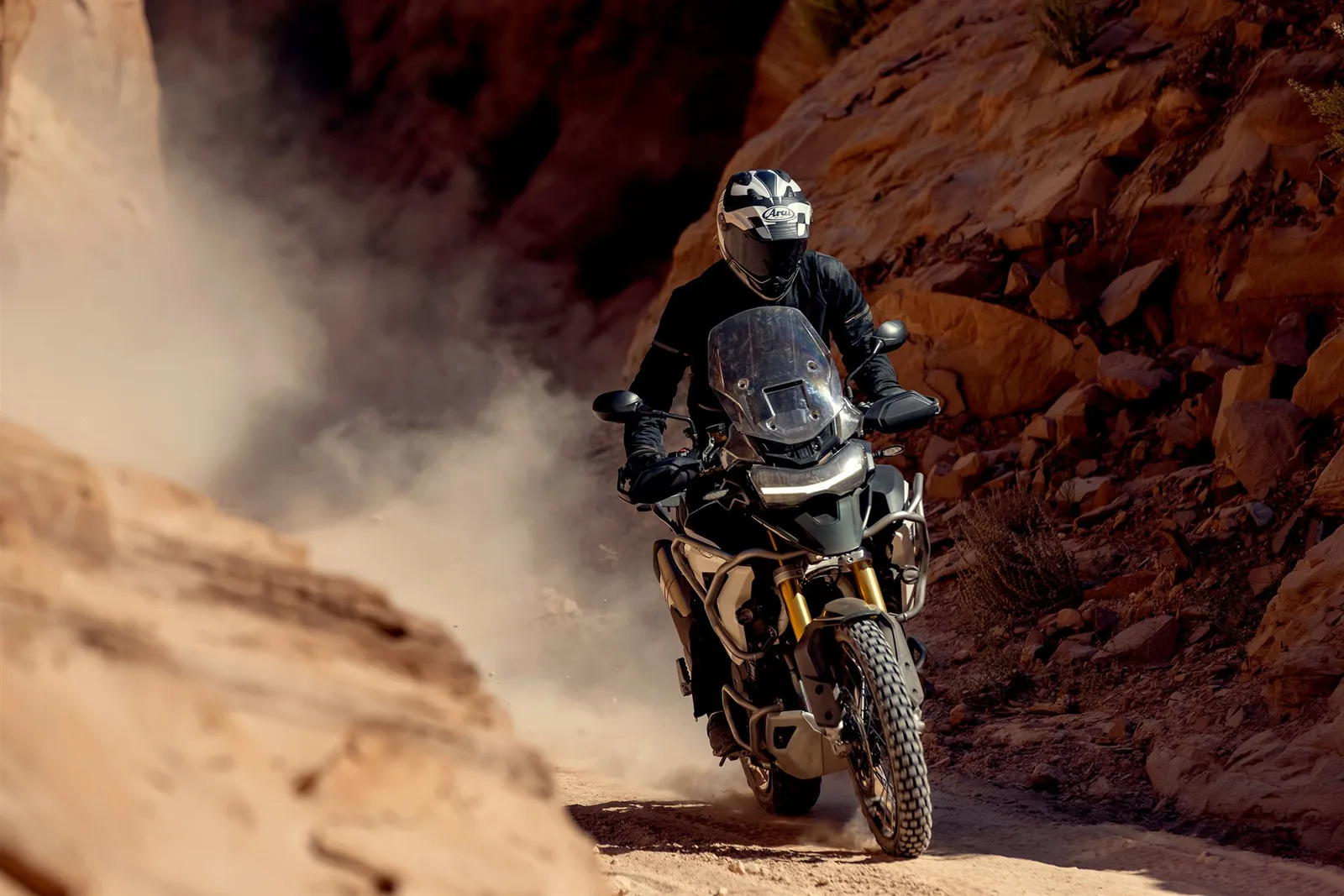 Triumph Tiger 1200 Rally PRO