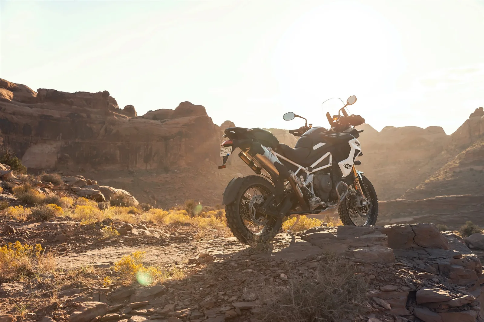 Triumph Tiger 1200 Rally PRO