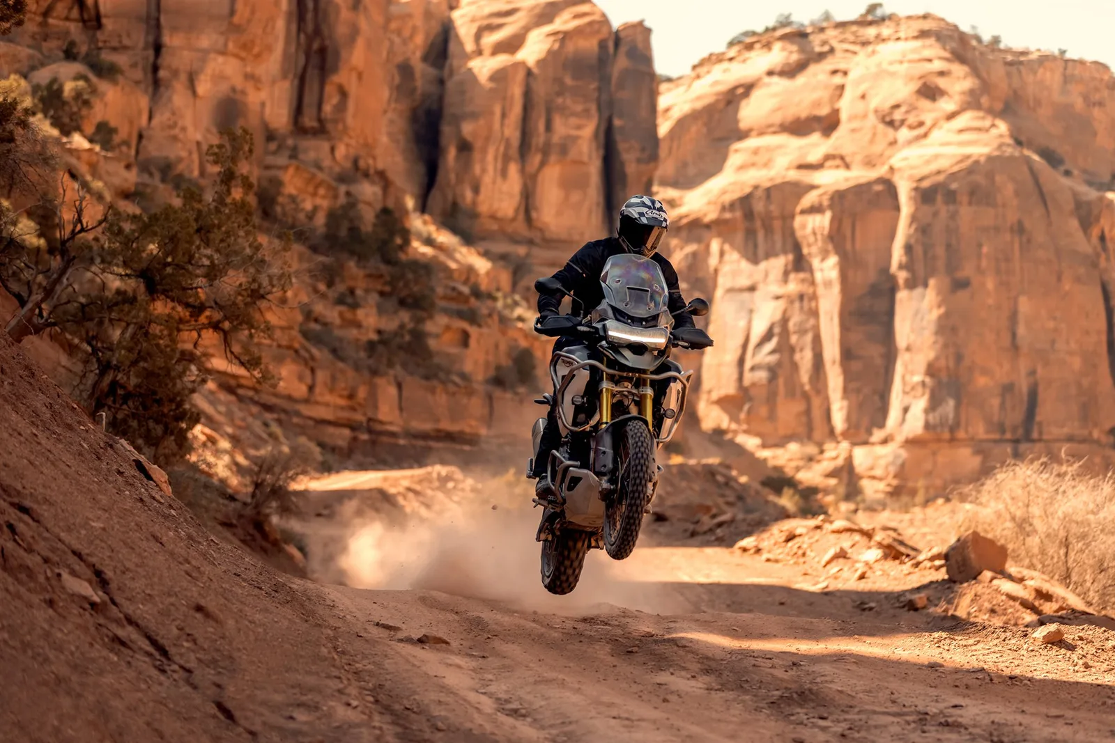 Triumph Tiger 1200 Rally PRO