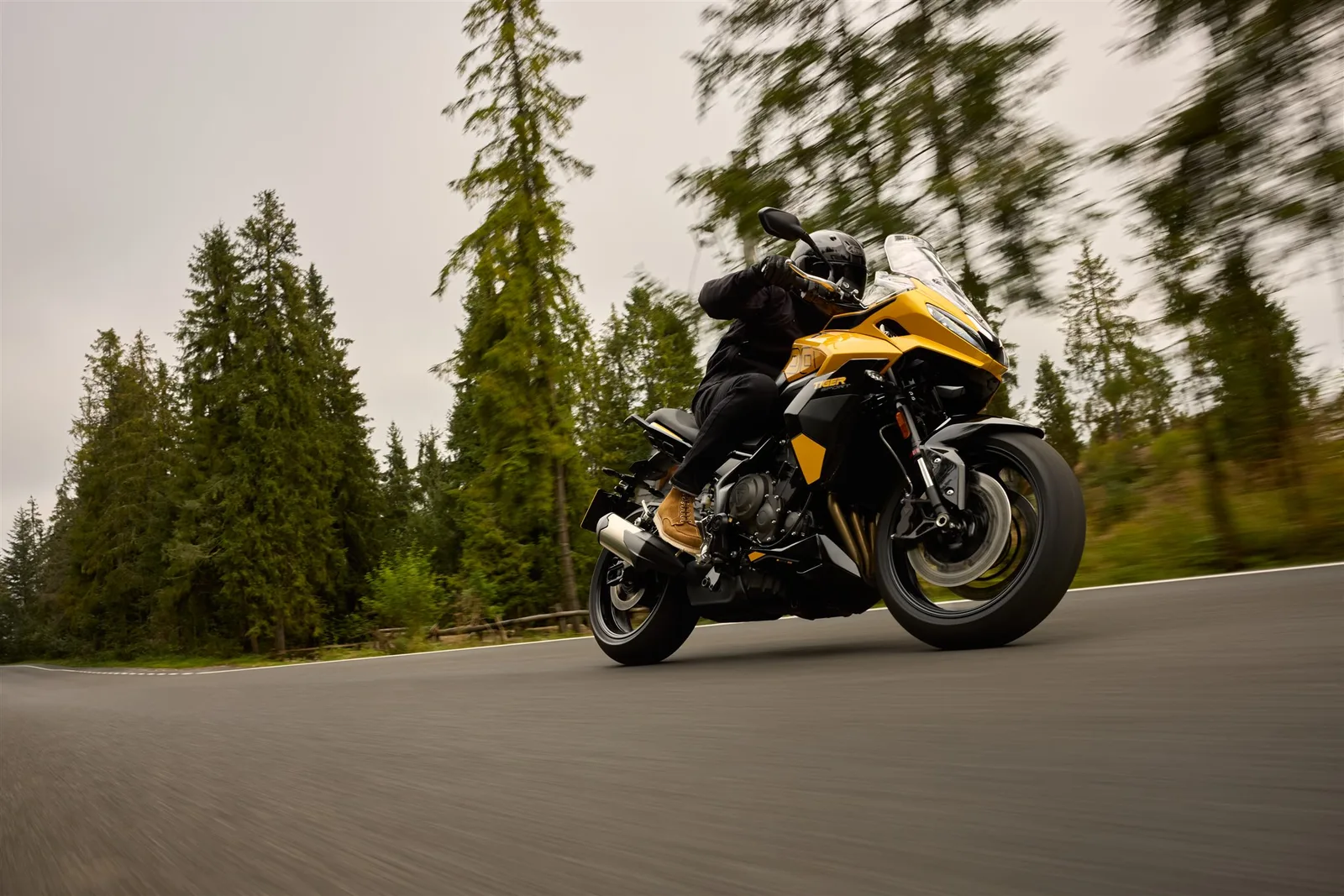 Triumph Tiger Sport 800
