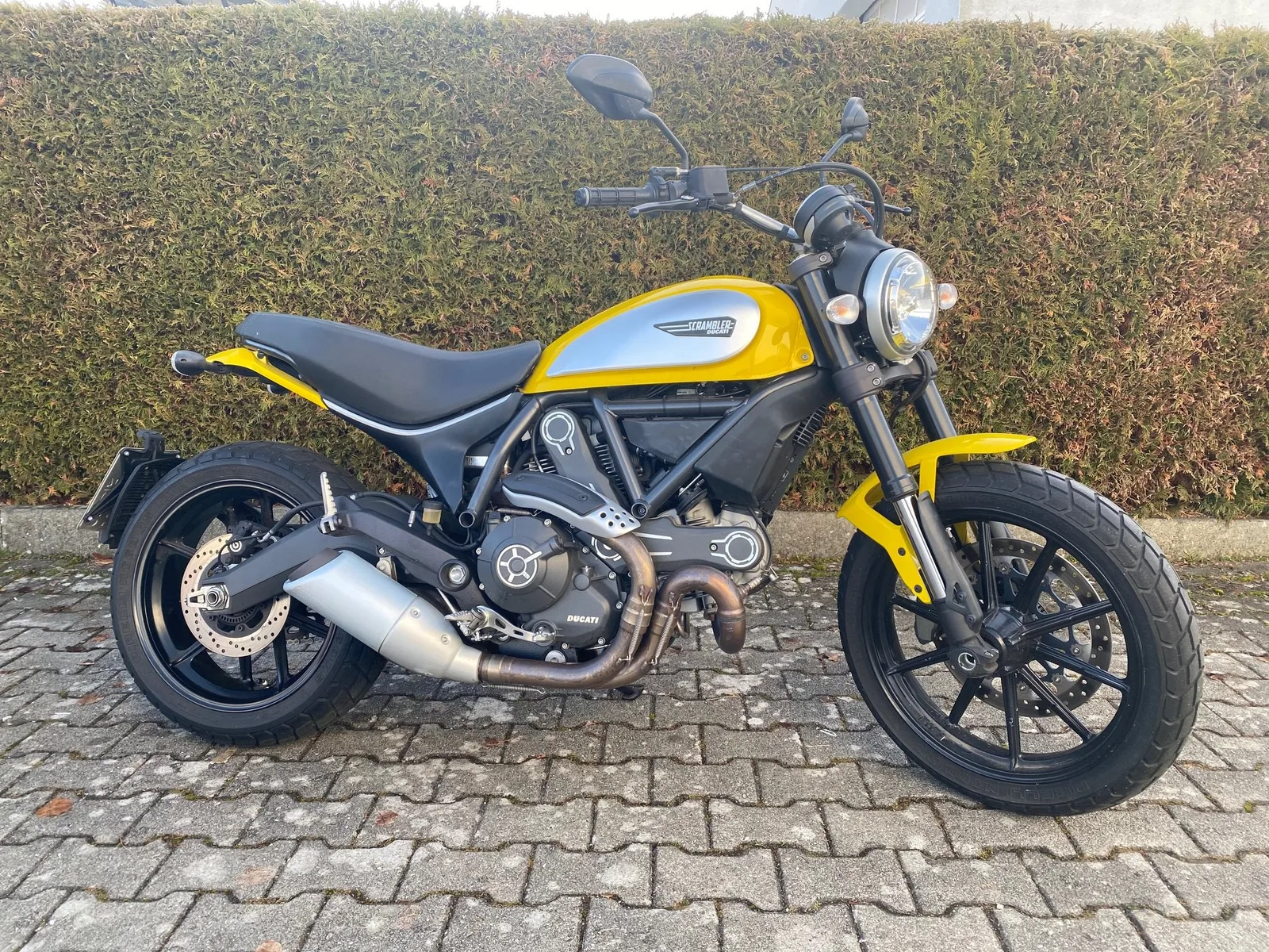 Ducati Scrambler Icon
