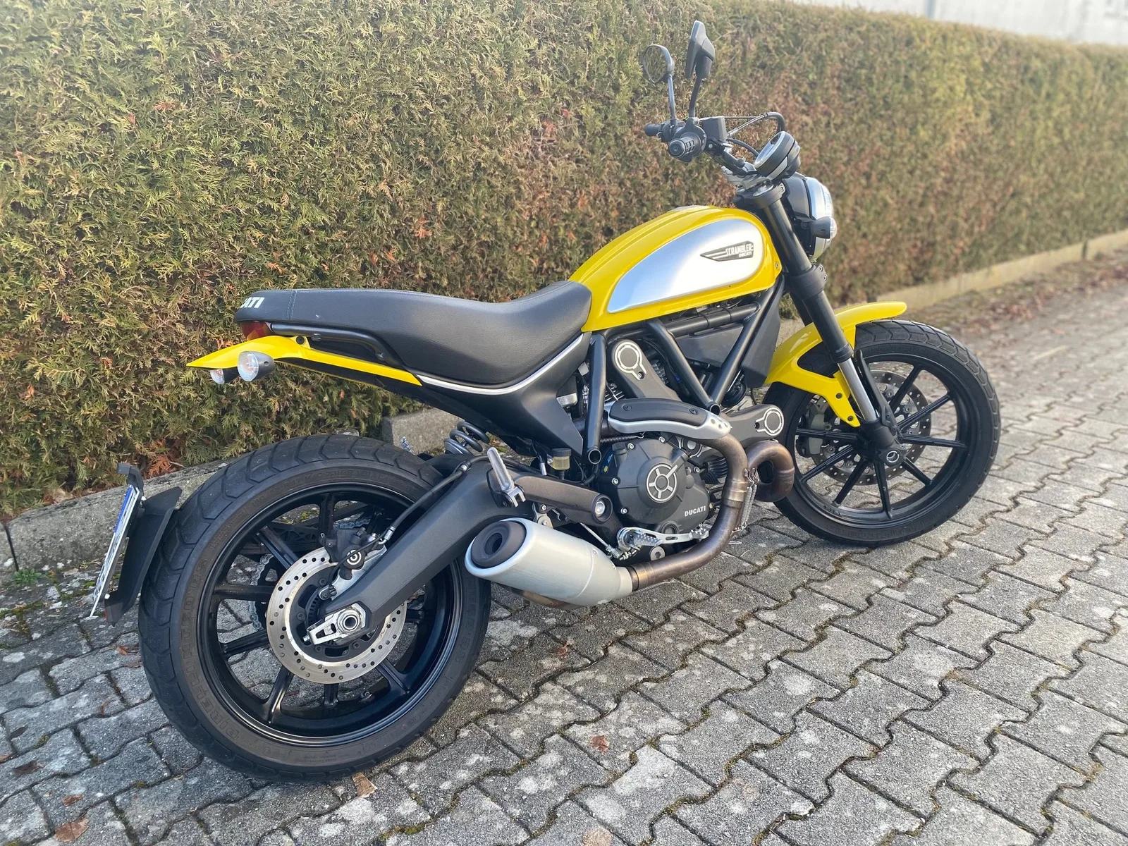 Ducati Scrambler Icon