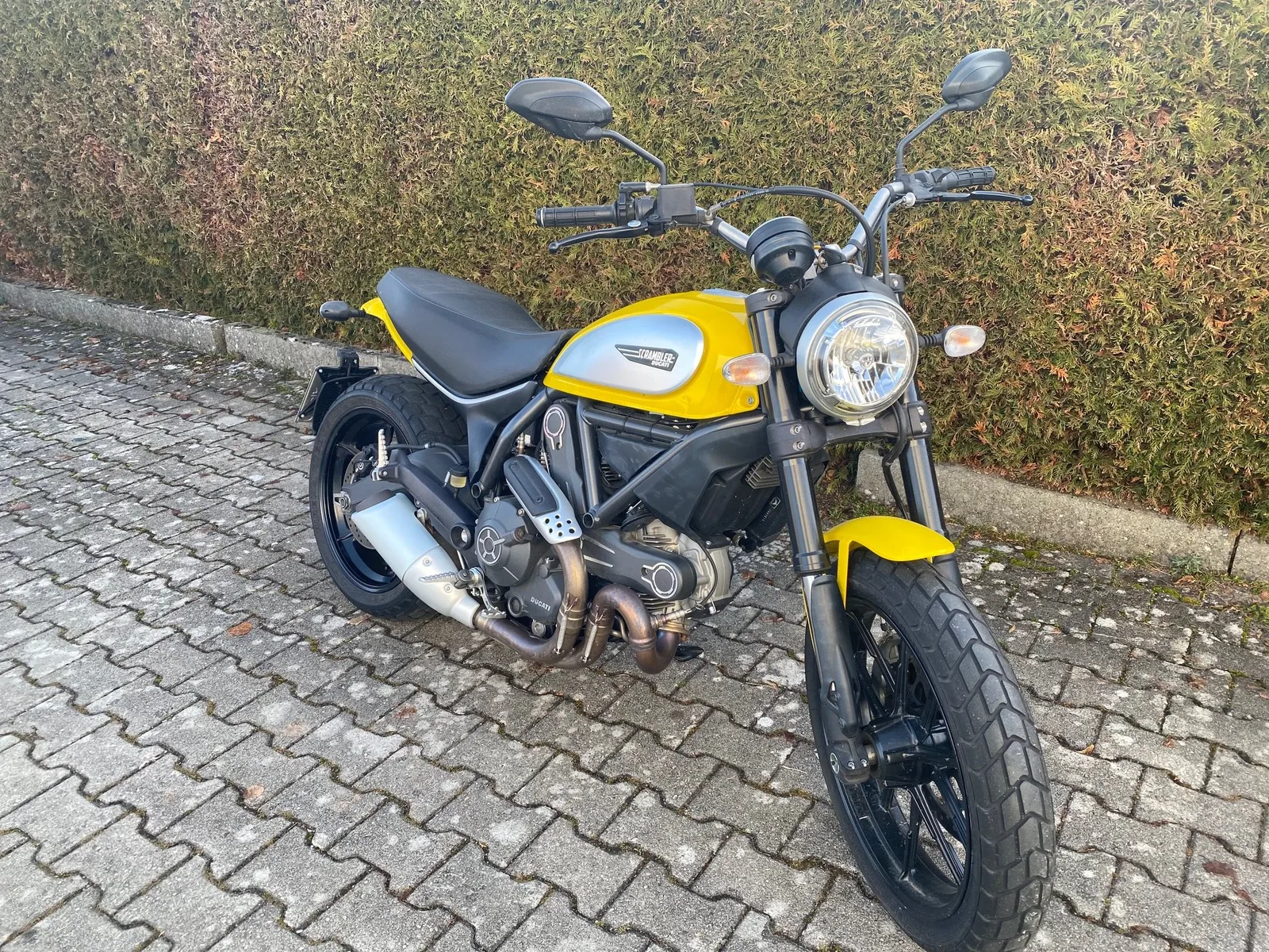 Ducati Scrambler Icon