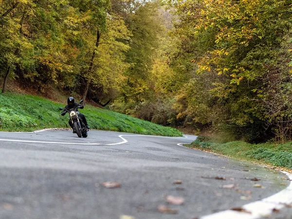 Benelli Leoncino 800