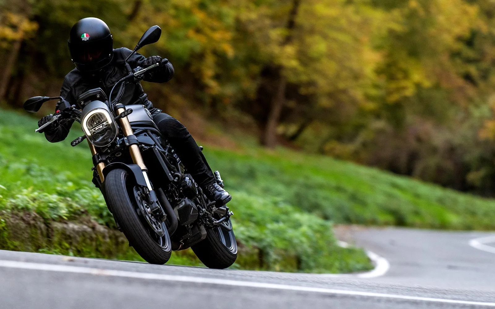 Benelli Leoncino 800