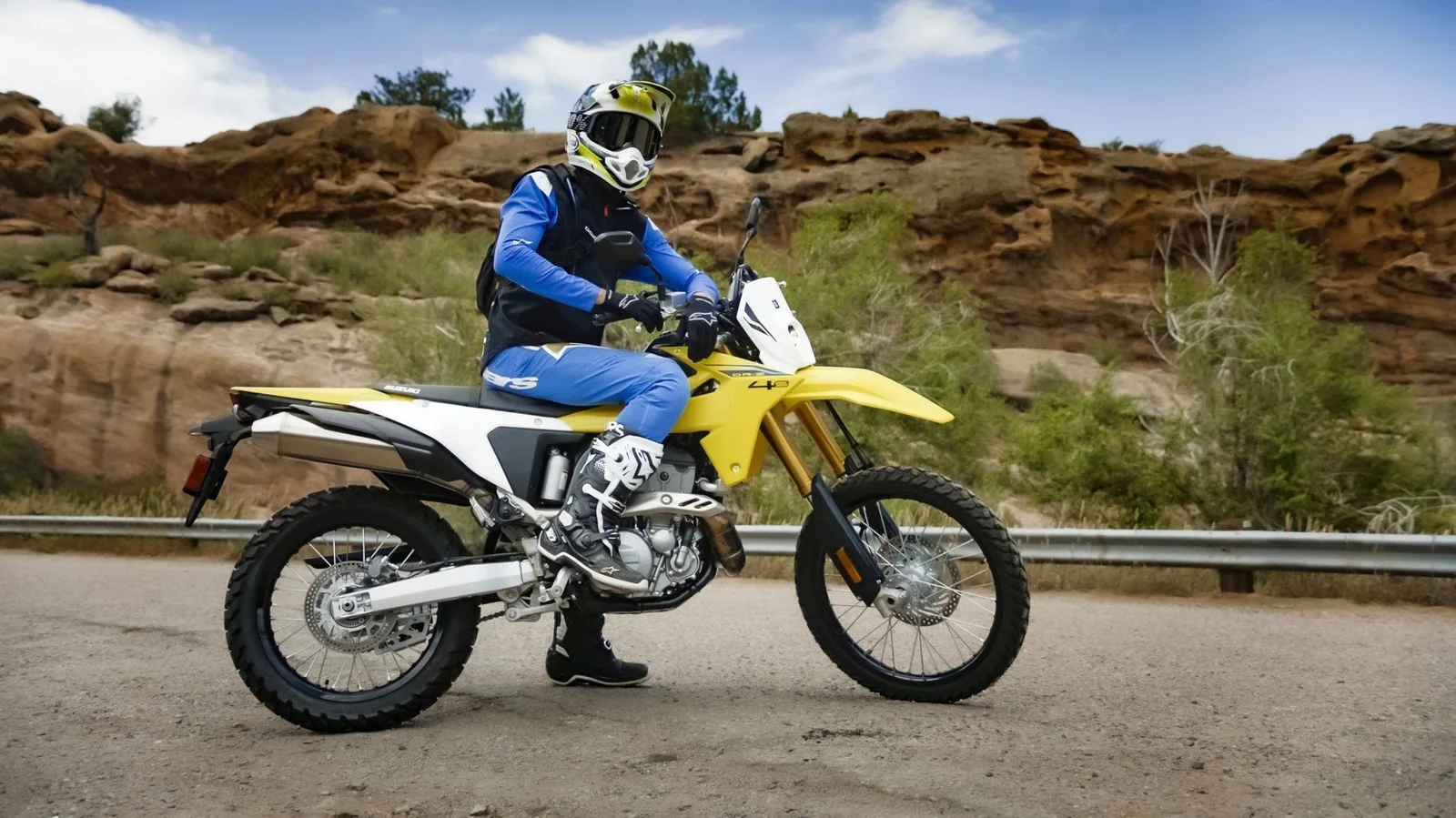 Suzuki DR-Z4S