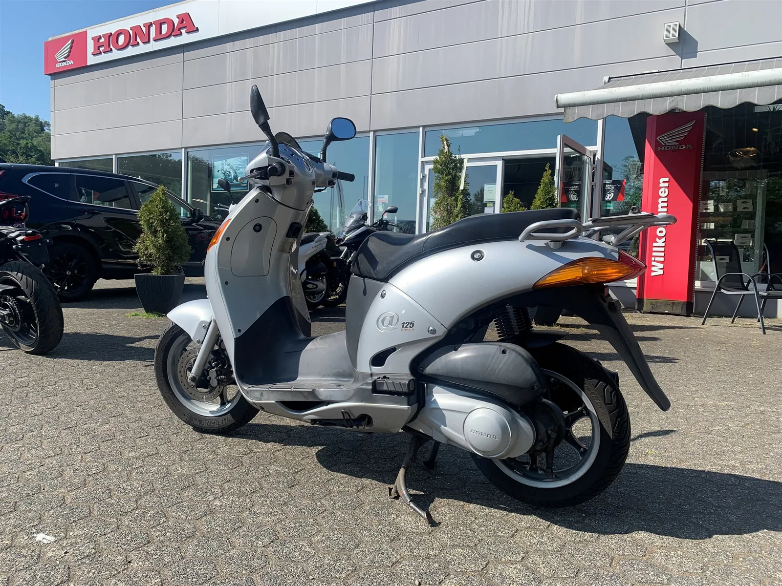 Honda @ 125 / NES 125 \*Komplette Inspektion\*