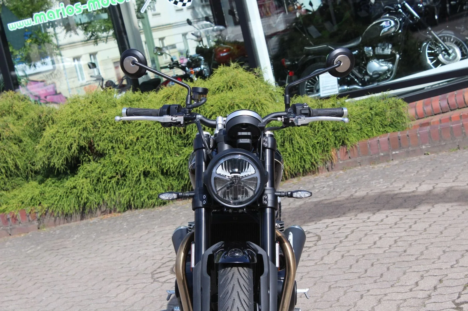 Triumph Speed Twin 900 \*Aktion\*