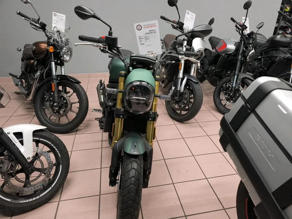 Benelli Leoncino 800