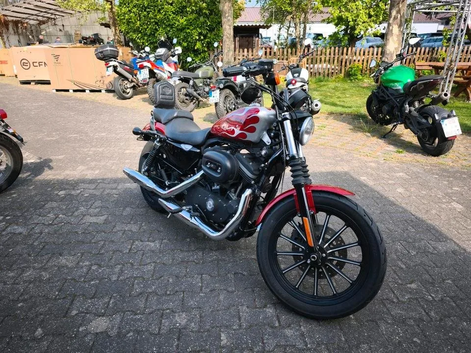 Harley-Davidson Sportster XL 883 N Iron