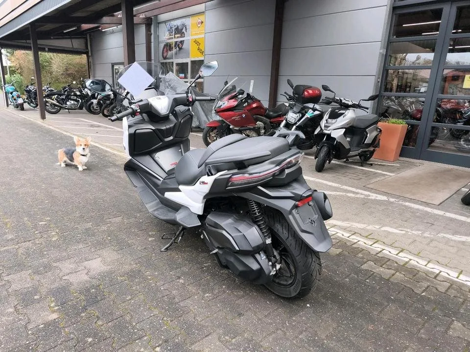 Voge SR4 350 LUXURY