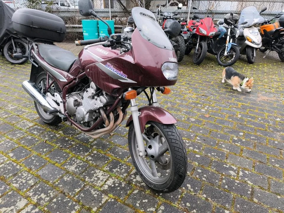 Yamaha XJ 600 S Diversion