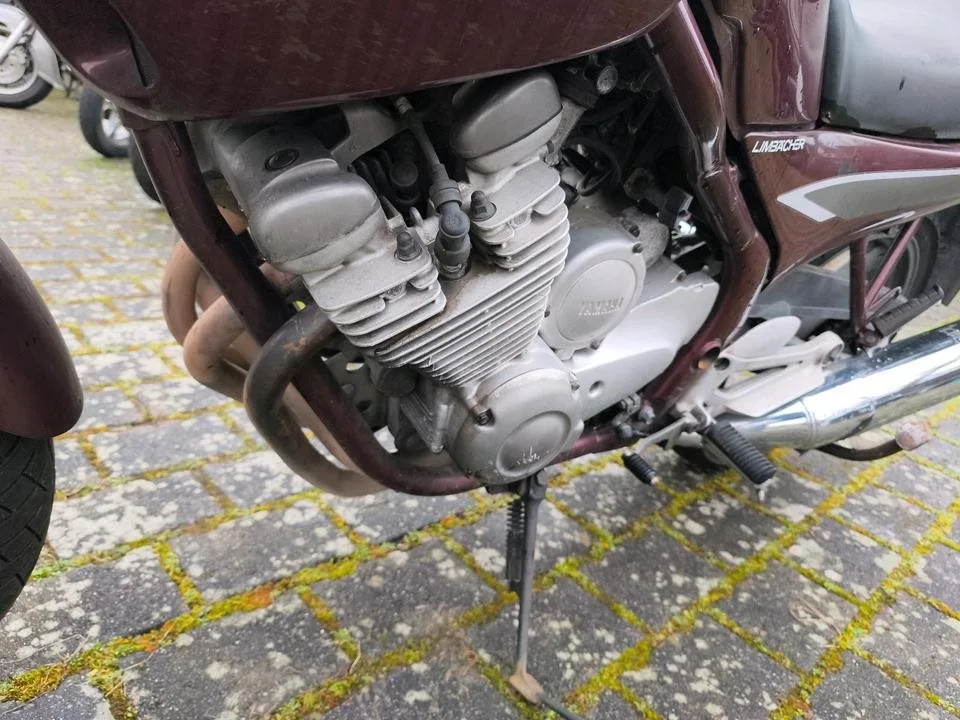 Yamaha XJ 600 S Diversion