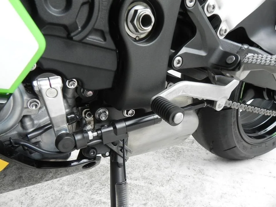 Kawasaki Ninja ZX-10R