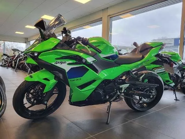 Kawasaki Ninja 500 SE