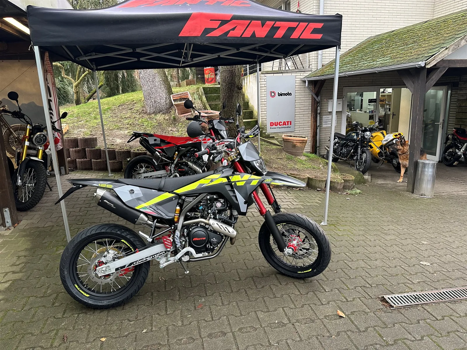 Fantic XMF 125 Competition Gierige Optik-Top Ausstattung