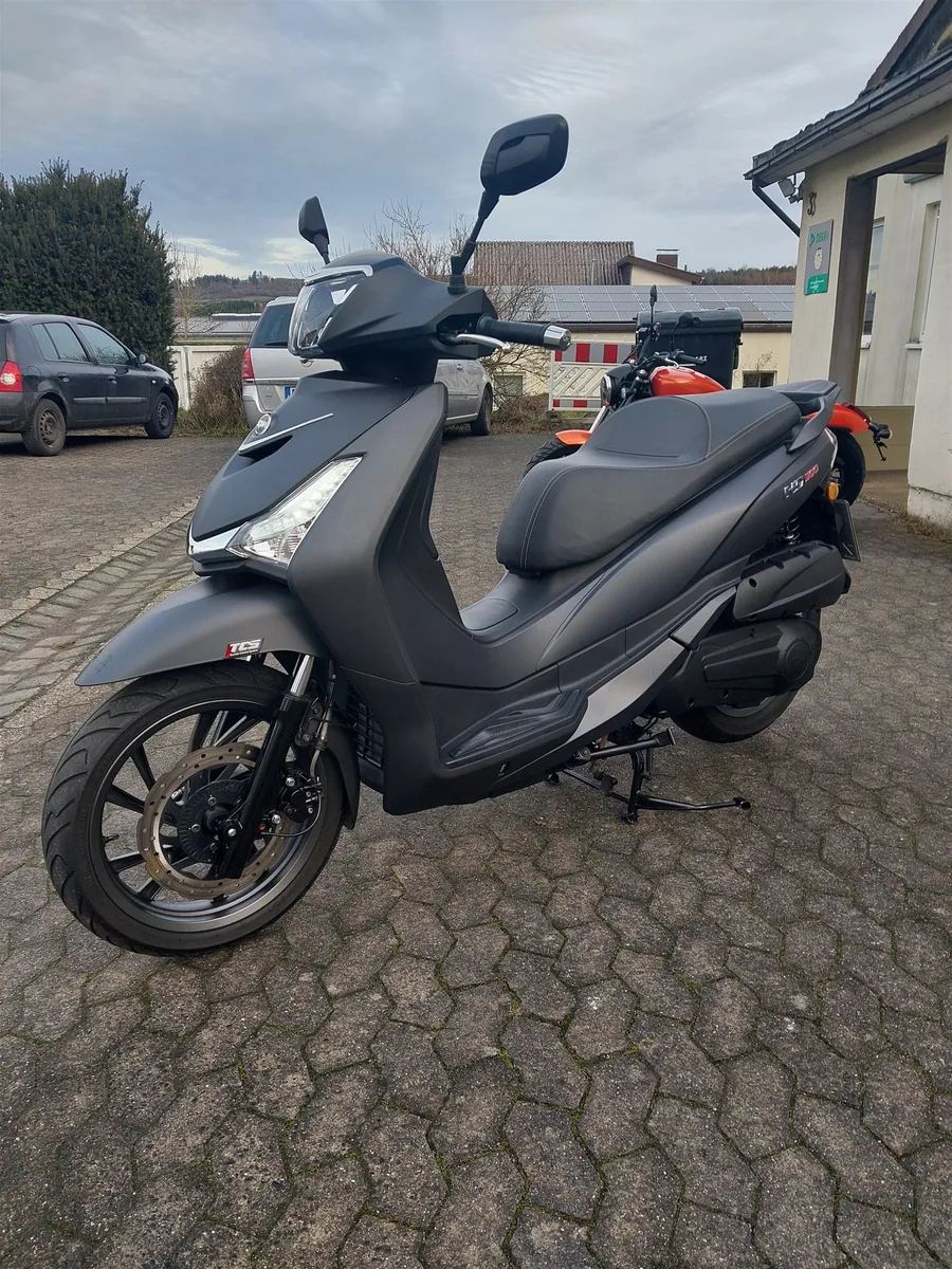 Sym HD 300