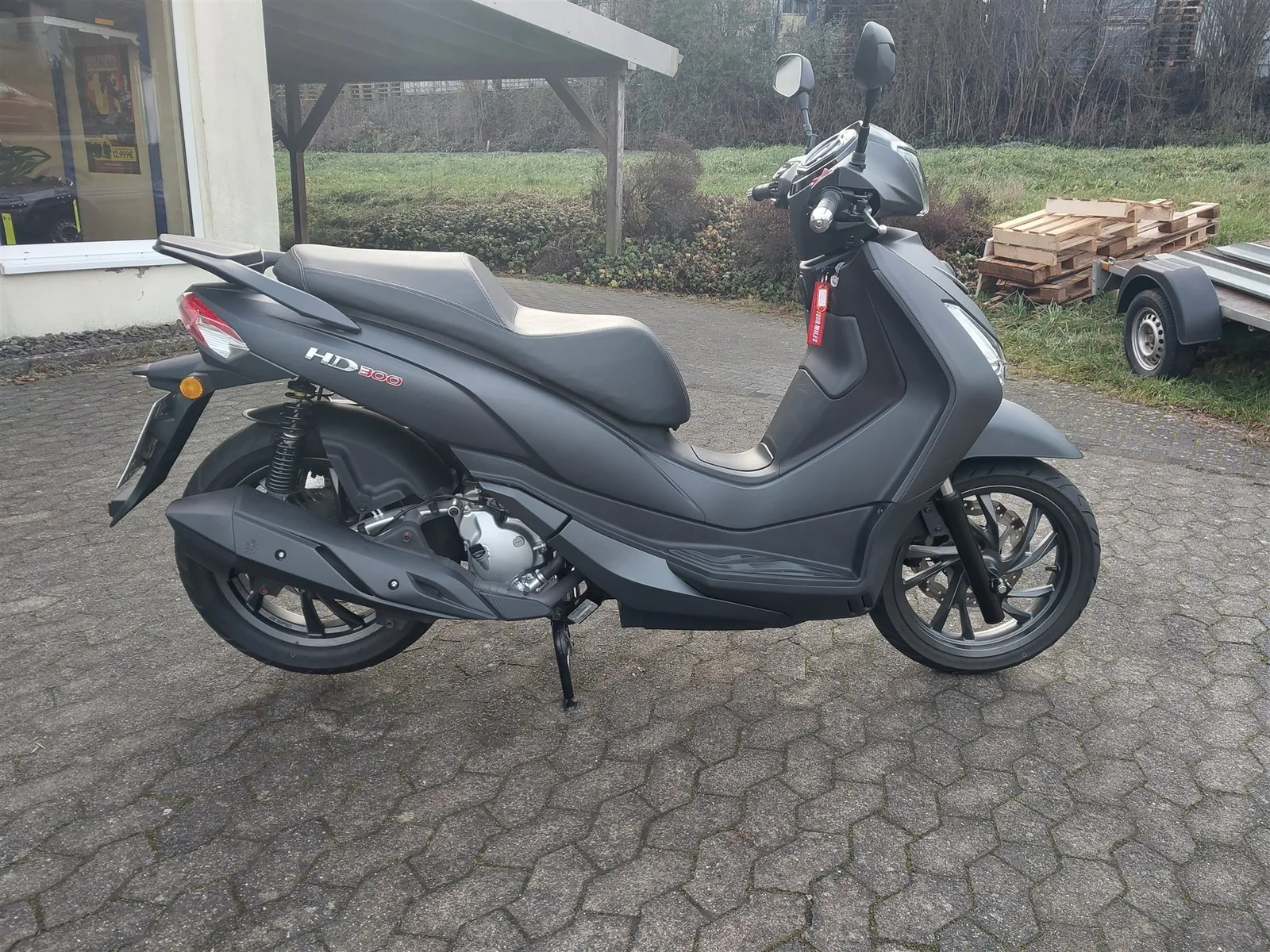 Sym HD 300
