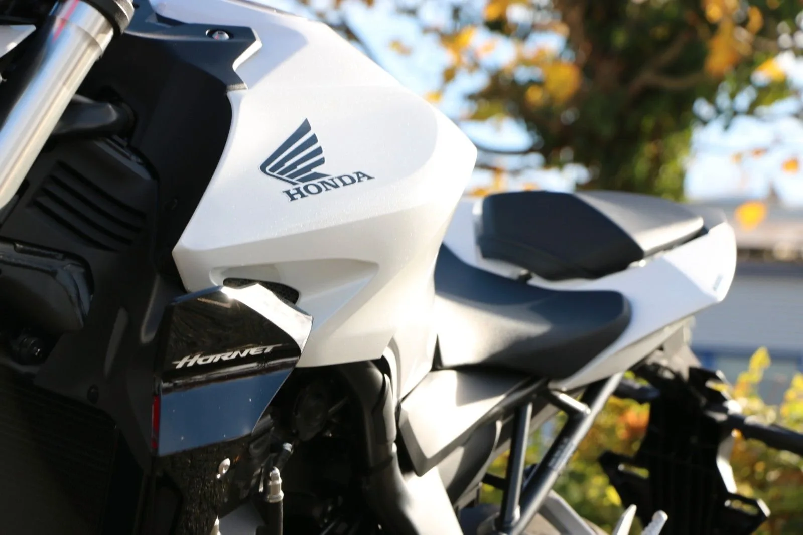 Honda CB1000 Hornet