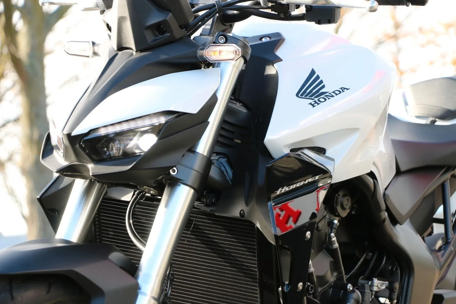 Honda CB1000 Hornet