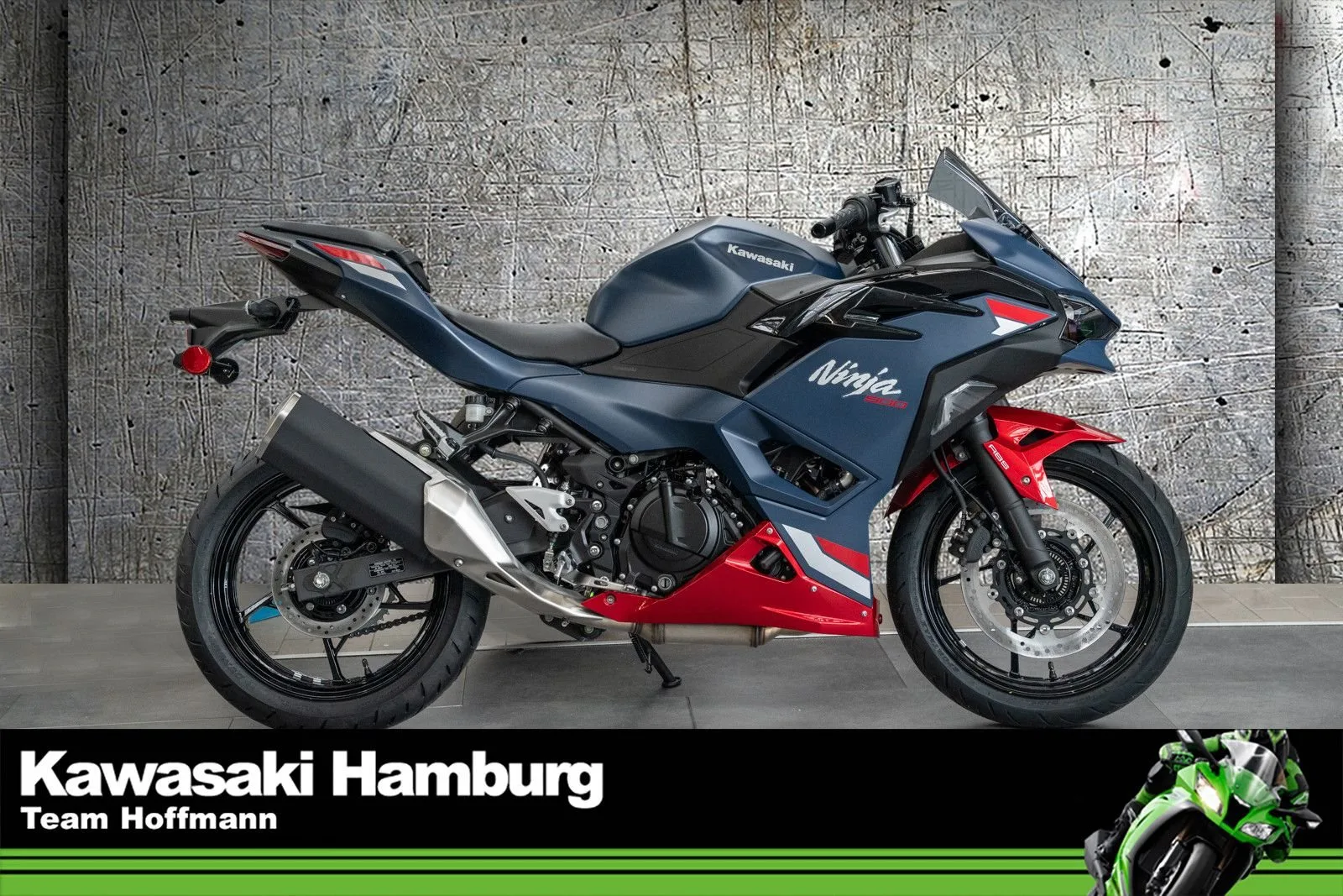 Kawasaki Ninja 500 SE