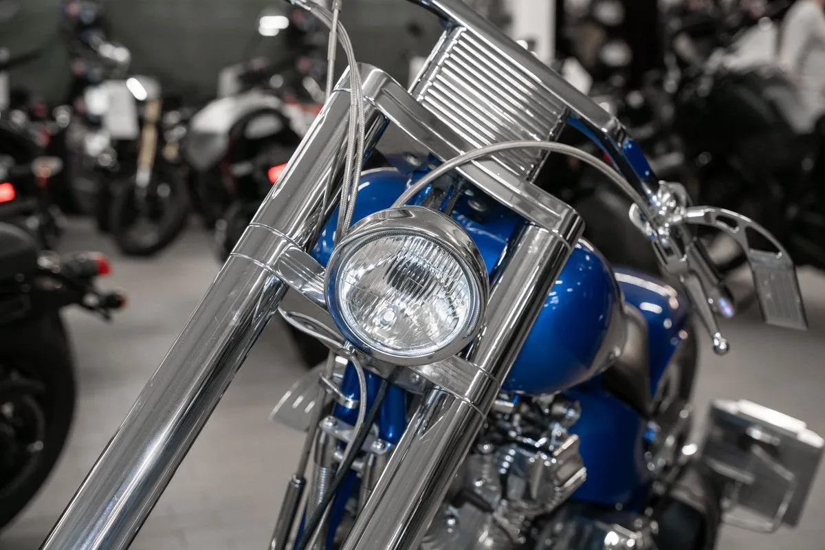 Harley-Davidson FXST/F