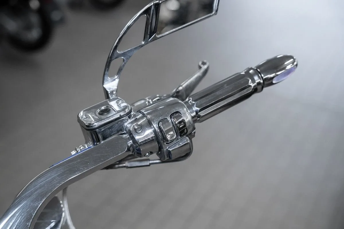 Harley-Davidson FXST/F