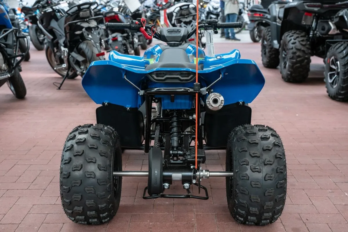 CFMOTO CForce 110