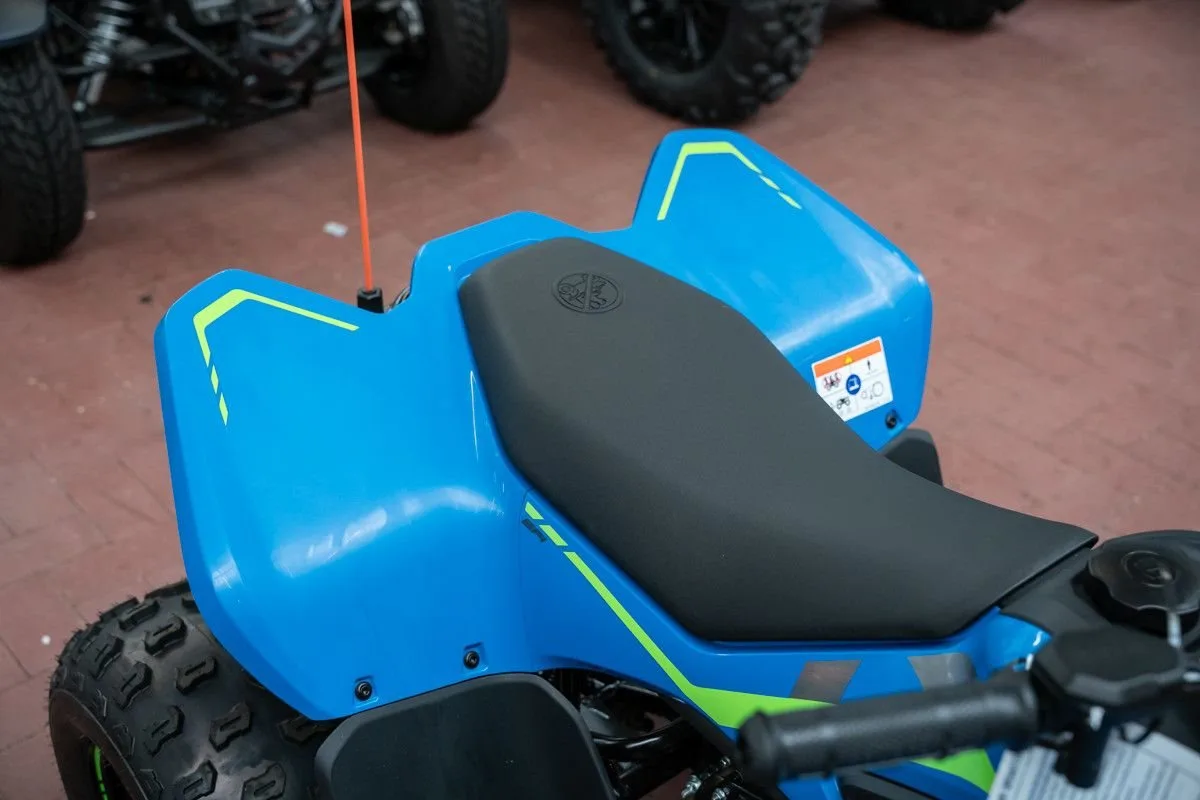 CFMOTO CForce 110