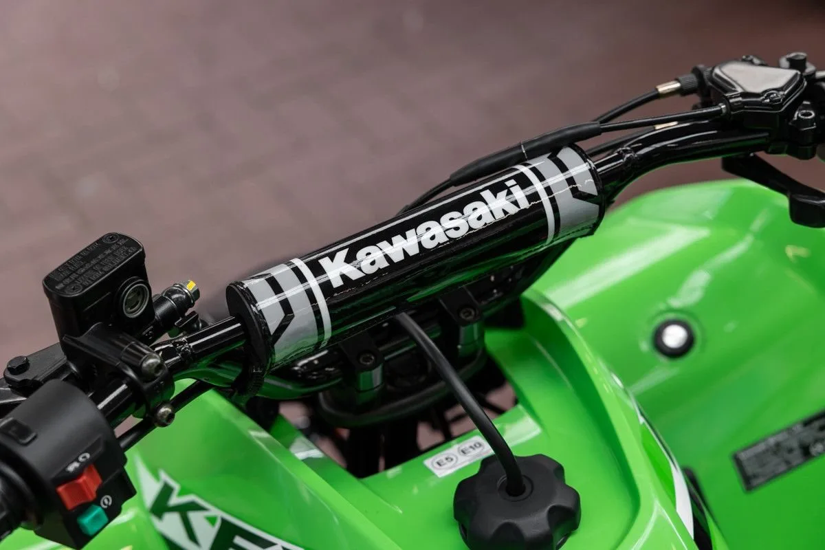 Kawasaki KFX 90
