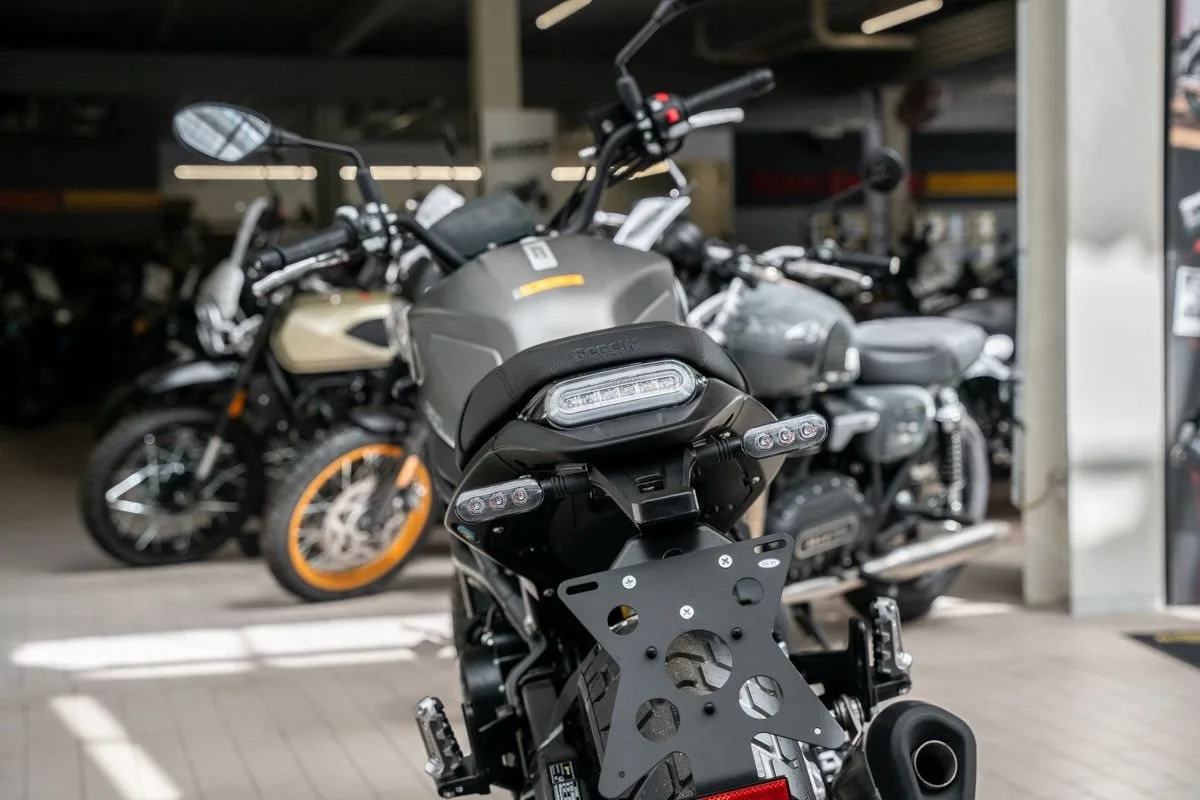 Benelli Leoncino 800