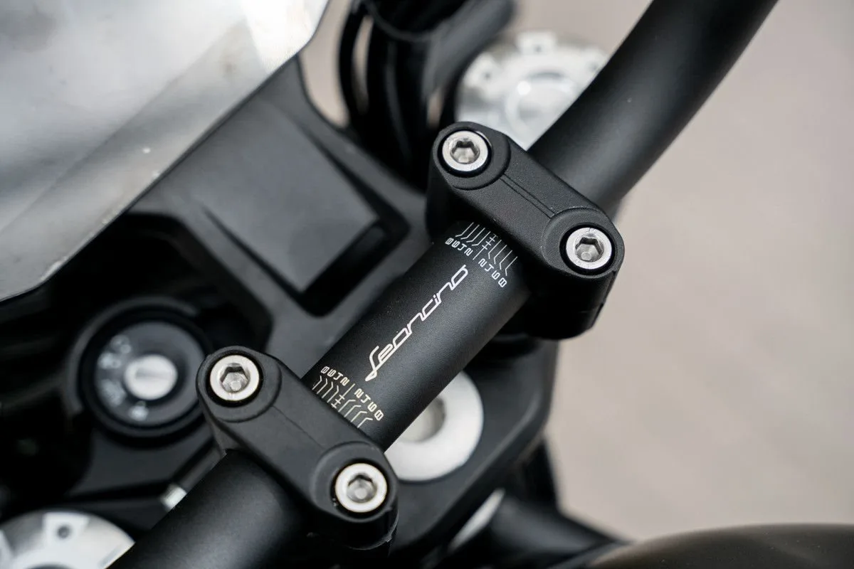 Benelli Leoncino 800