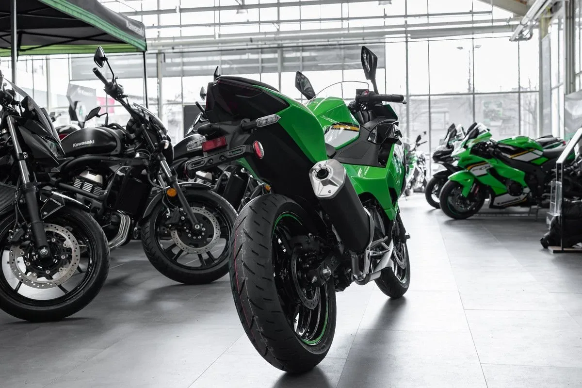 Kawasaki Ninja 500 SE