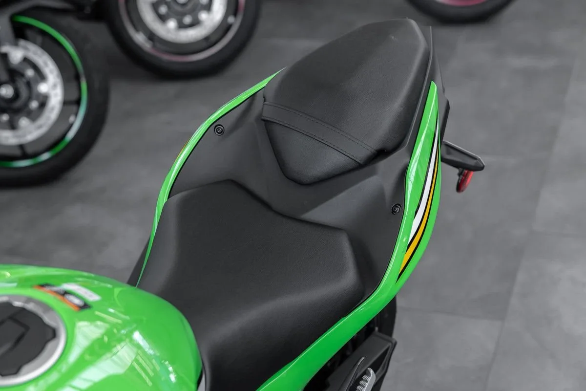 Kawasaki Ninja 500 SE