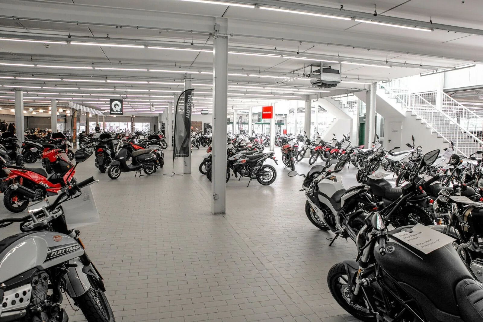 Benda Chinchilla 300