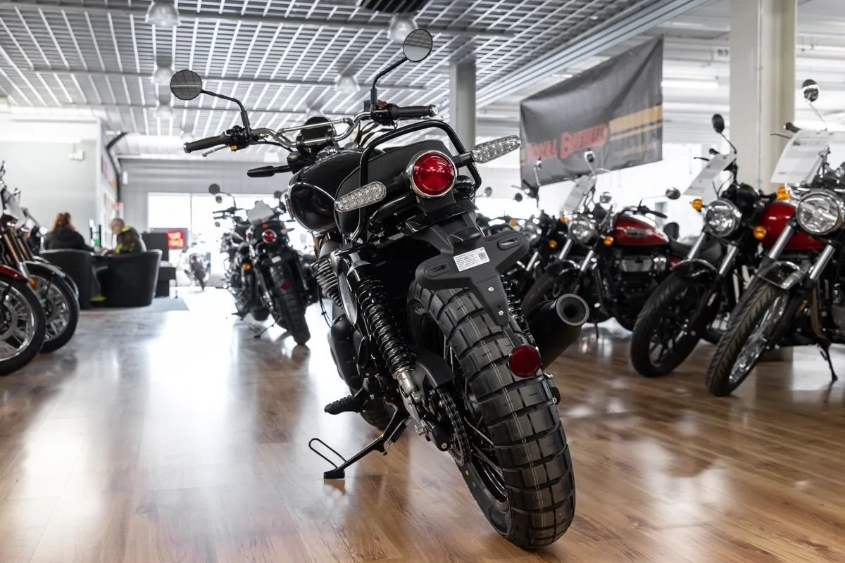 Royal Enfield Bear 650