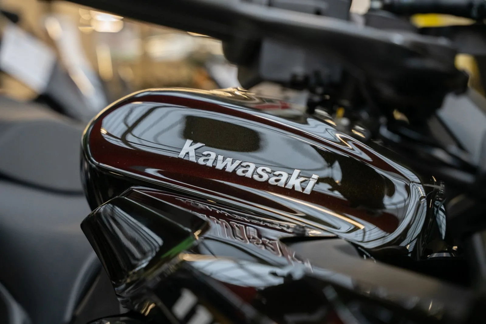 Kawasaki Ninja 1100SX