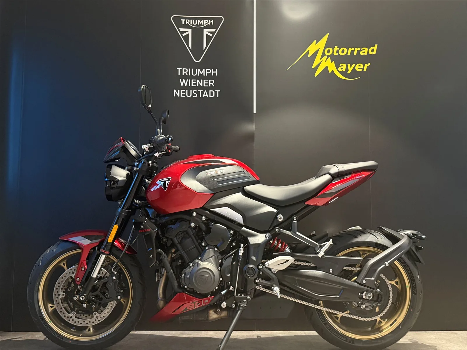Triumph Trident 800 SOFORT VERFÜGBAR!