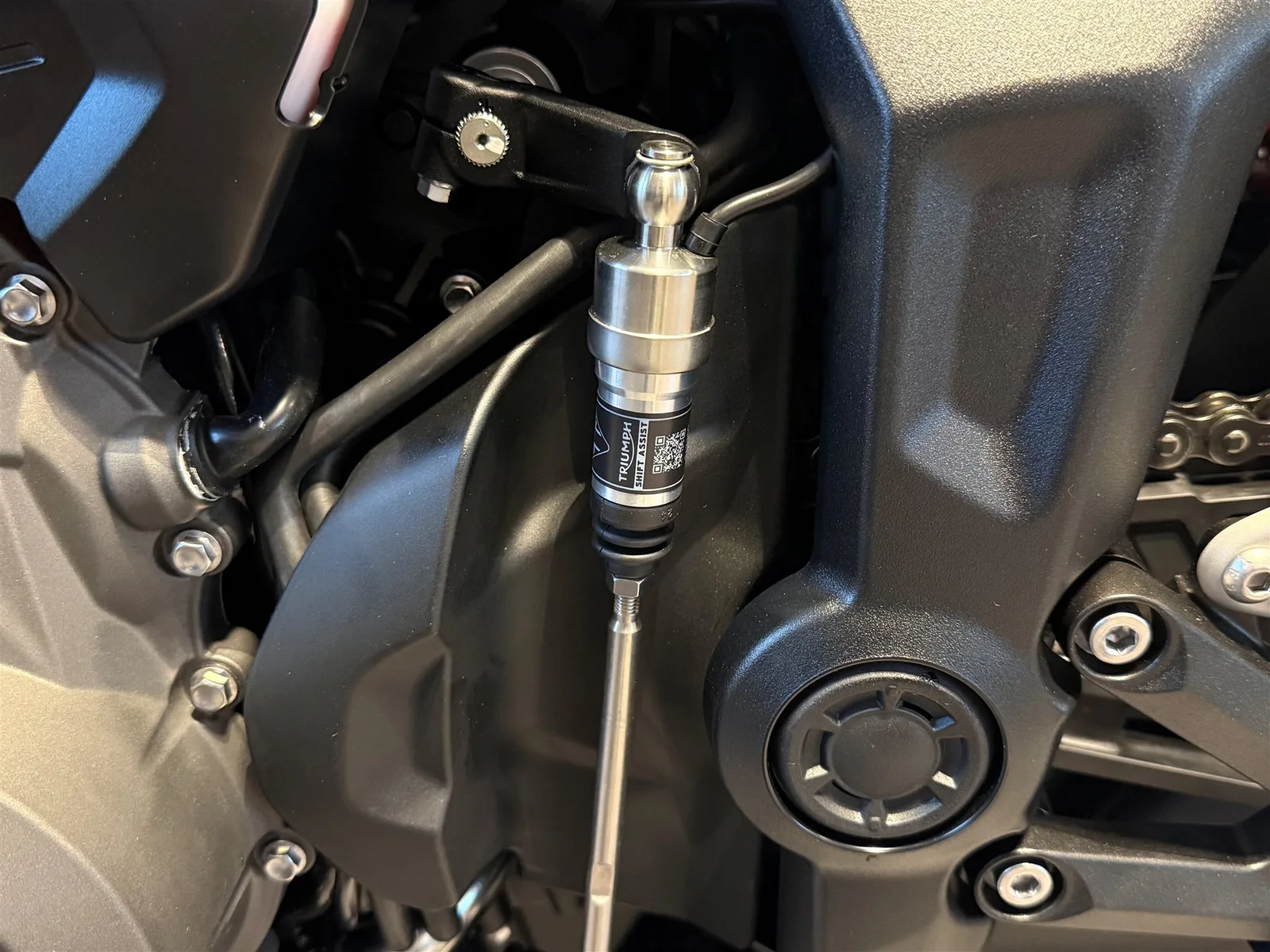 Triumph Trident 800 SOFORT VERFÜGBAR!