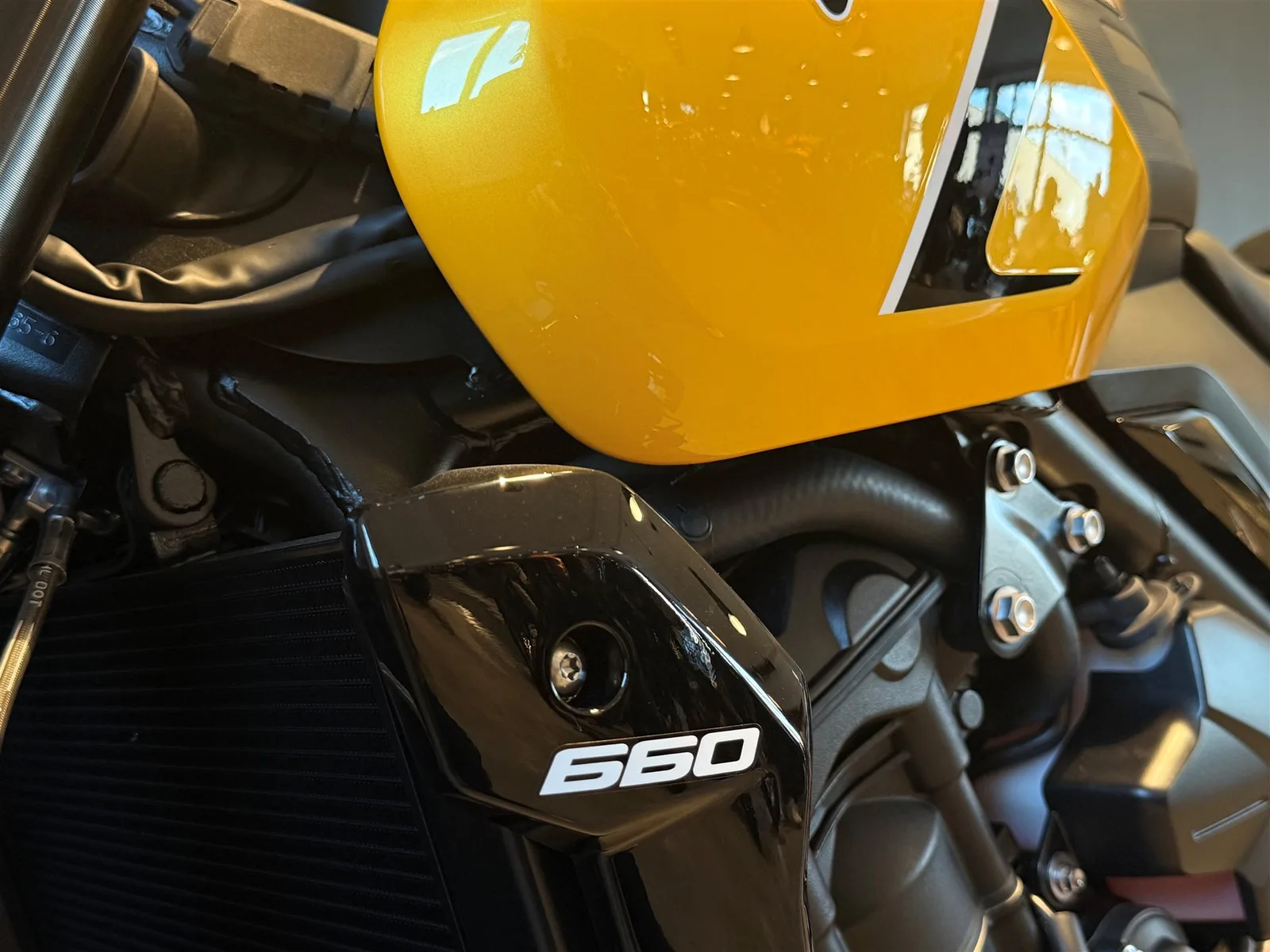 Triumph Trident 660 SOFORT VERFÜGBAR!
