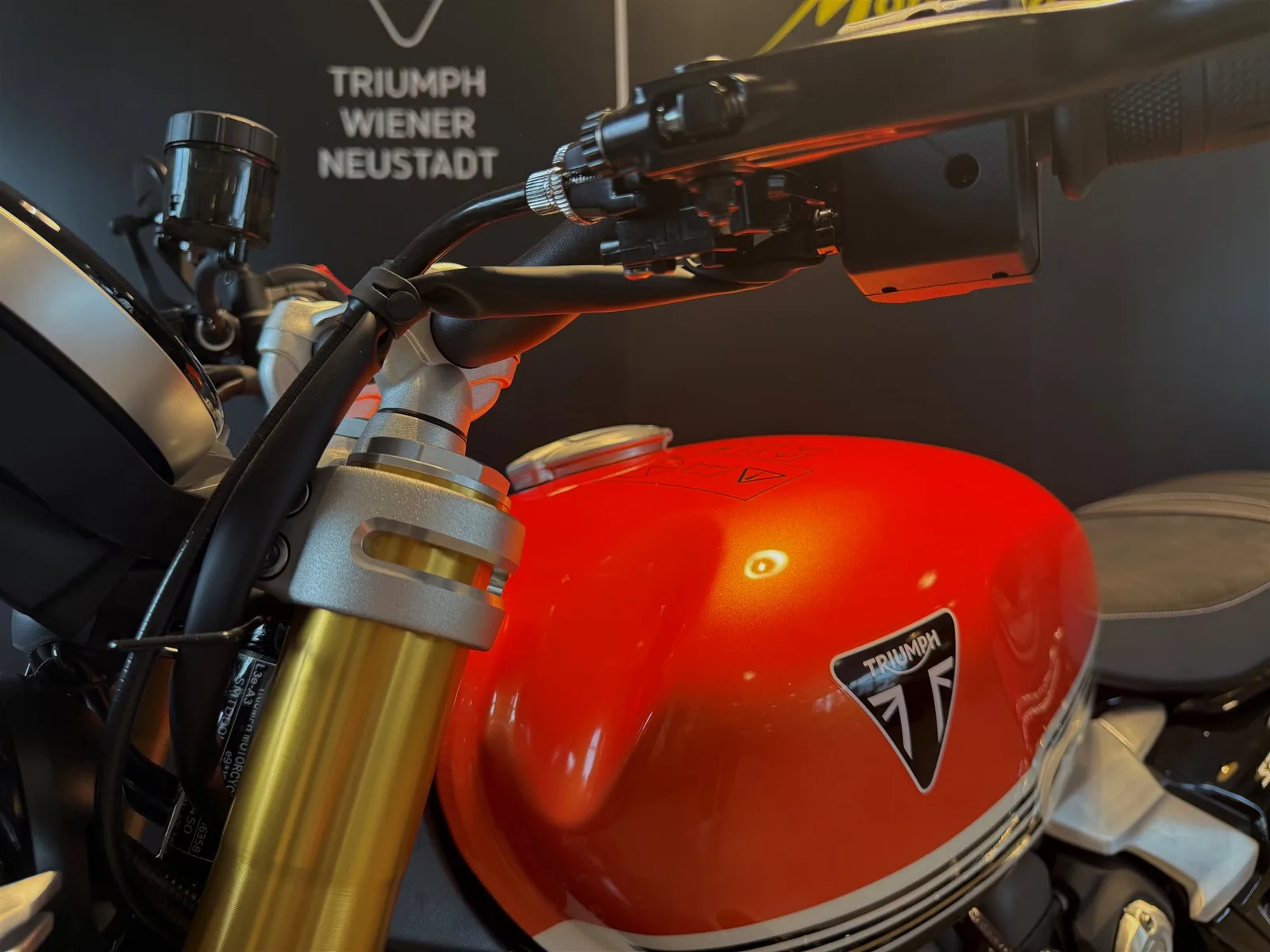 Triumph Speed Twin 1200 RS SOFORT VERFÜGBAR!