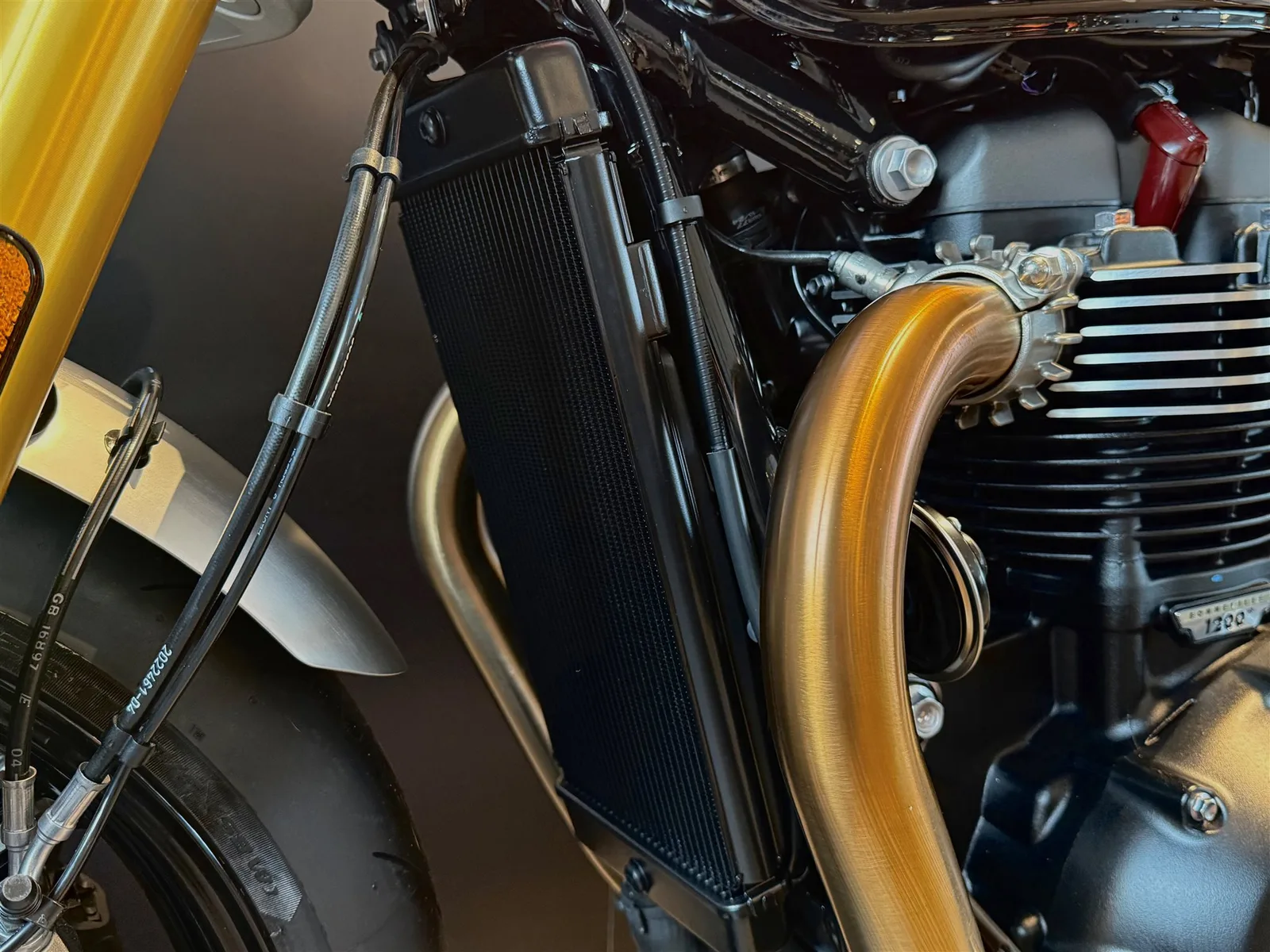 Triumph Speed Twin 1200 RS SOFORT VERFÜGBAR!