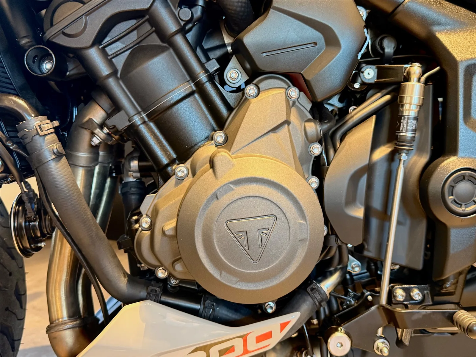 Triumph Trident 800 SOFORT VERFÜGBAR!