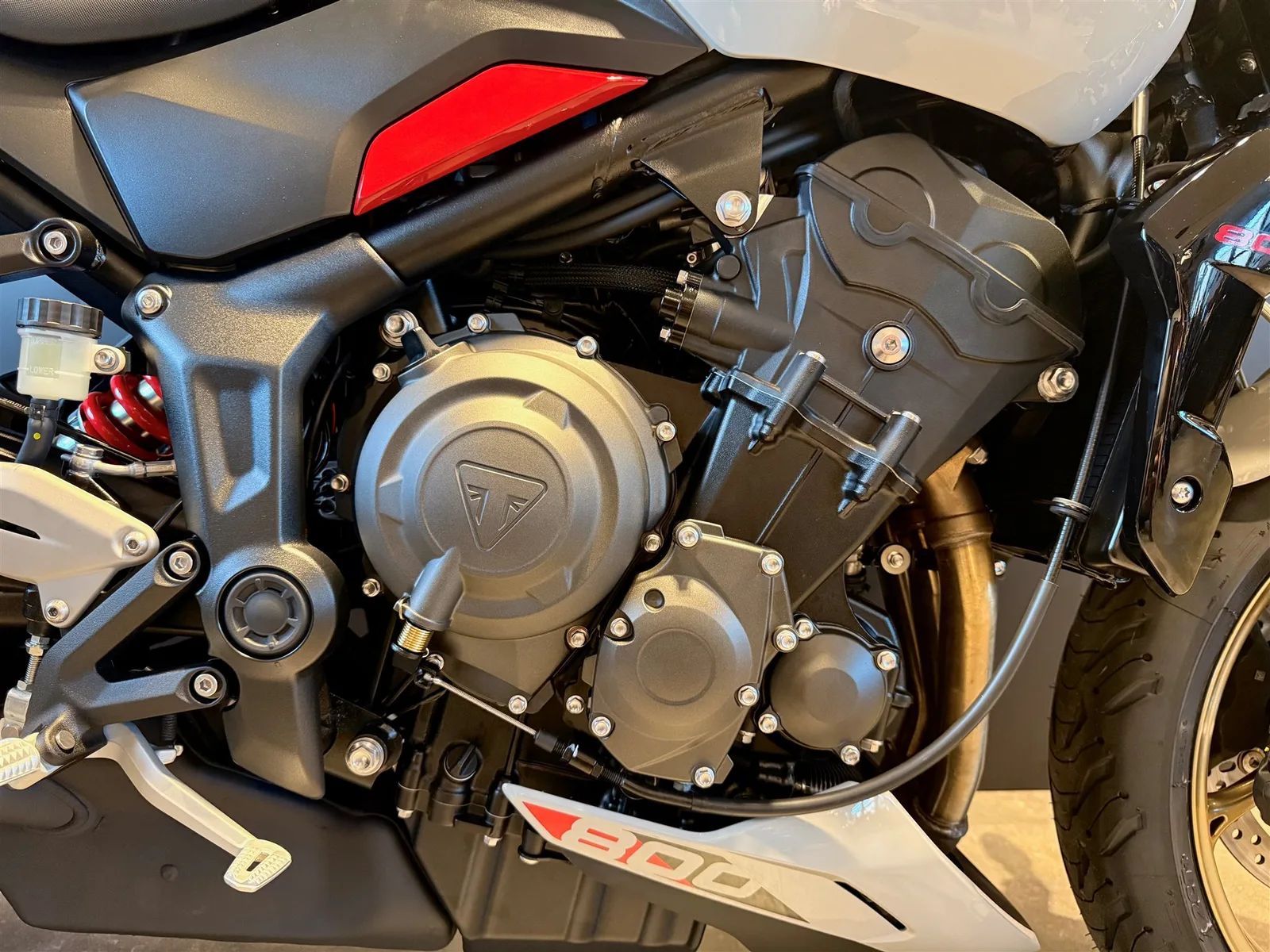 Triumph Trident 800 SOFORT VERFÜGBAR!