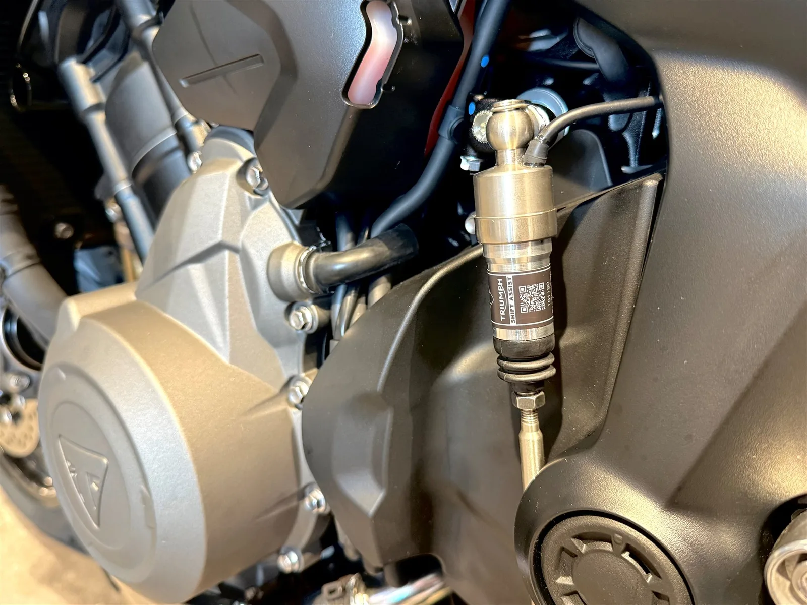 Triumph Tiger Sport 800 SOFORT VERFÜGBAR!