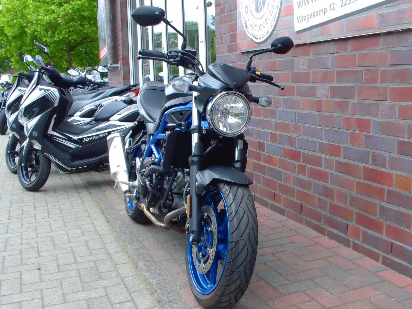 Suzuki SV650 ABS 1. Hand