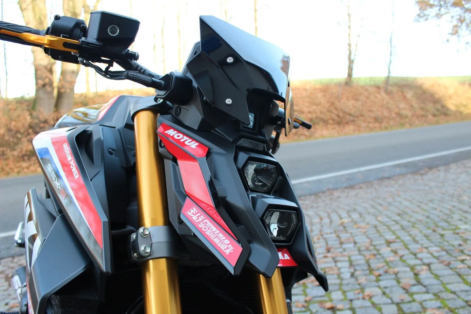 Suzuki GSX-S1000